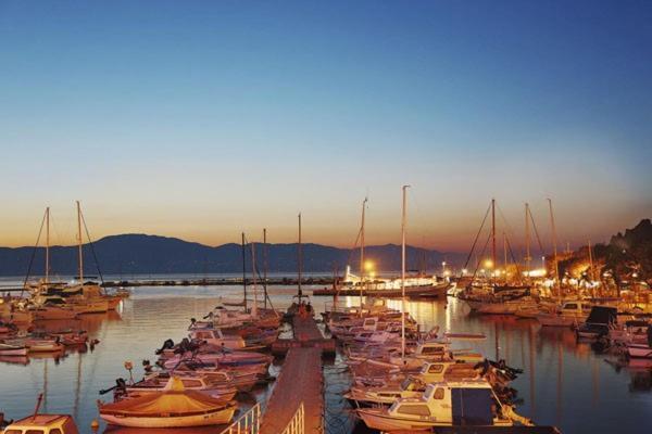 Dubasa B&B Vantacici Kültér fotó
